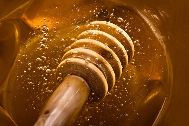 قیمت عسل وحشی + خرید باور نکردنی